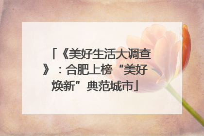《美好生活大调查》：合肥上榜“美好焕新”典范城市