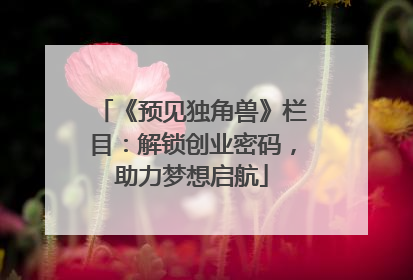 《预见独角兽》栏目：解锁创业密码，助力梦想启航