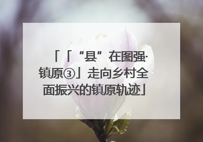 「“县”在图强·镇原③」走向乡村全面振兴的镇原轨迹