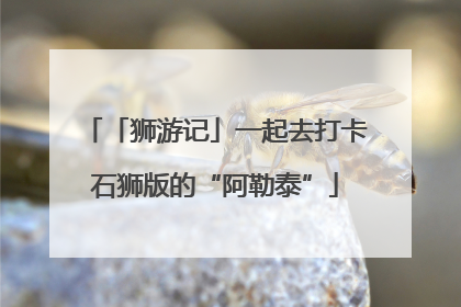 「狮游记」一起去打卡石狮版的“阿勒泰”