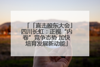 「直击股东大会」四川长虹：正视“内卷”竞争态势 加快培育发展新动能