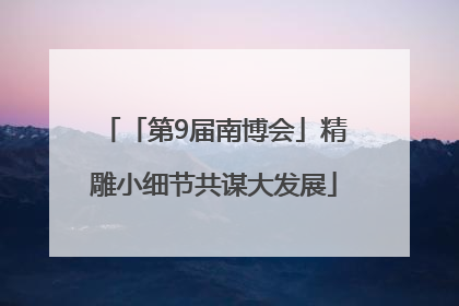 「第9届南博会」精雕小细节共谋大发展