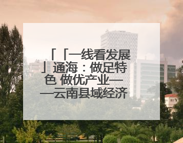 「一线看发展」通海：做足特色 做优产业——云南县域经济样本观察之二