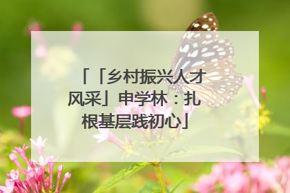 「乡村振兴人才风采」申学林：扎根基层践初心