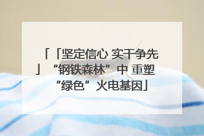 「坚定信心 实干争先」“钢铁森林”中 重塑“绿色”火电基因