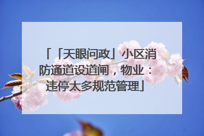 「天眼问政」小区消防通道设道闸，物业：违停太多规范管理