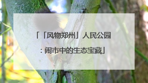 「风物郑州」人民公园：闹市中的生态宝藏