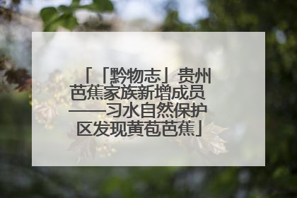 「黔物志」贵州芭蕉家族新增成员——习水自然保护区发现黄苞芭蕉
