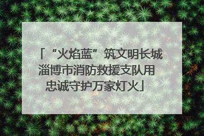 “火焰蓝”筑文明长城 淄博市消防救援支队用忠诚守护万家灯火