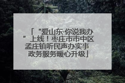 “爱山东·你说我办”上线！枣庄市市中区孟庄镇听民声办实事 政务服务暖心升级