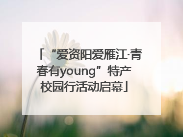 “爱资阳爱雁江·青春有young”特产校园行活动启幕