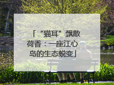 “猫耳”飘散荷香：一座江心岛的生态蜕变