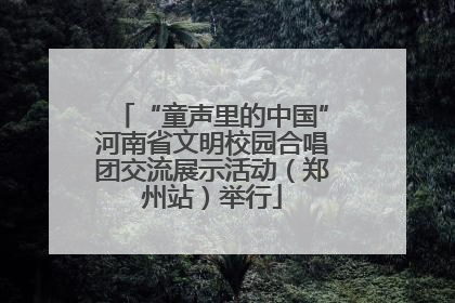 “童声里的中国”河南省文明校园合唱团交流展示活动（郑州站）举行