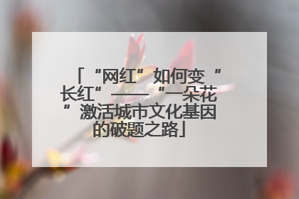 “网红”如何变“长红”——“一朵花”激活城市文化基因的破题之路