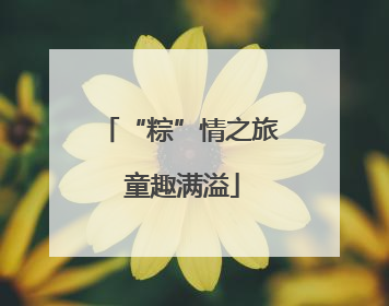 “粽”情之旅 童趣满溢