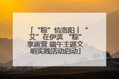 “粽”情洛阳丨“艾”在伊滨 “粽”享露营 端午主题文明实践活动启动