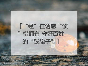 “经”住诱惑“侦”惜拥有 守好百姓的“钱袋子”