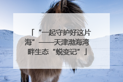 “一起守护好这片海”——天津渤海湾畔生态“蜕变记”
