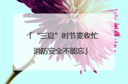 “三夏”时节麦收忙 消防安全不能忘