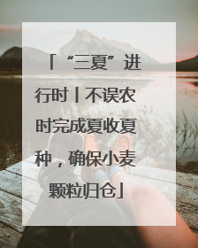 “三夏”进行时丨不误农时完成夏收夏种，确保小麦颗粒归仓
