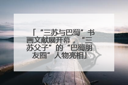 “三苏与巴蜀”书画文献展开幕，“三苏父子”的“巴蜀朋友圈”人物亮相