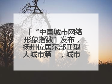 “中国城市网络形象指数”发布，扬州位居东部Ⅱ型大城市第一，城市生活形象亮眼