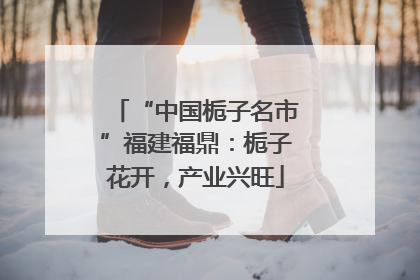“中国栀子名市”福建福鼎：栀子花开，产业兴旺
