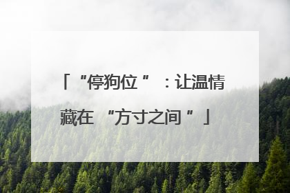 “停狗位 ”：让温情藏在 “方寸之间 ”