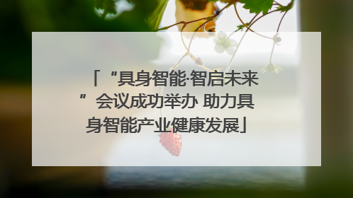 “具身智能·智启未来”会议成功举办 助力具身智能产业健康发展
