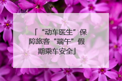 “动车医生”保障旅客“端午”假期乘车安全