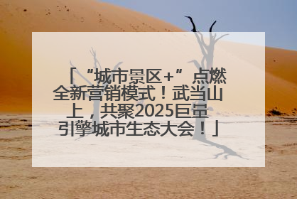 “城市景区+”点燃全新营销模式！武当山上，共聚2025巨量引擎城市生态大会！