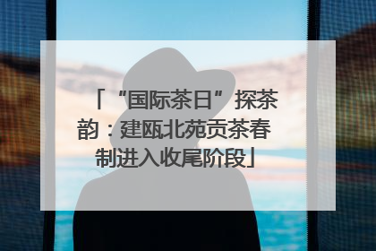“国际茶日”探茶韵：建瓯北苑贡茶春制进入收尾阶段