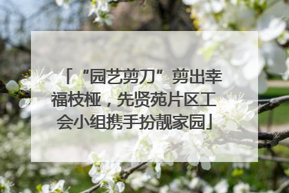 “园艺剪刀”剪出幸福枝桠，先贤苑片区工会小组携手扮靓家园