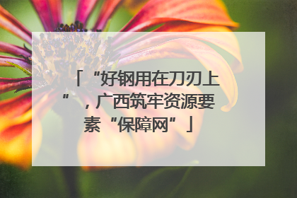 “好钢用在刀刃上”，广西筑牢资源要素“保障网”