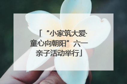 “小家筑大爱·童心向朝阳”六一亲子活动举行