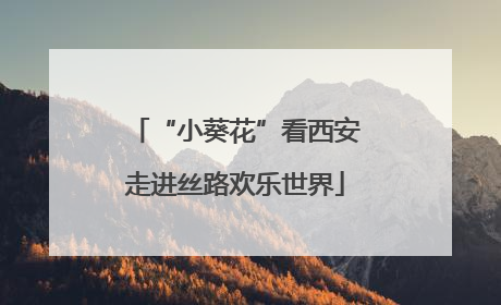 “小葵花”看西安走进丝路欢乐世界