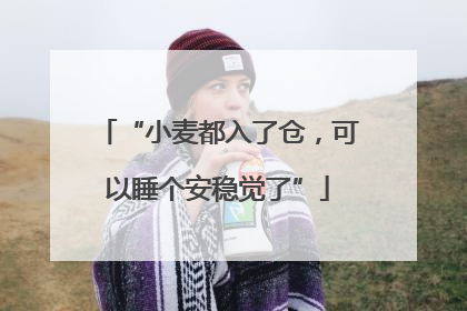 “小麦都入了仓，可以睡个安稳觉了”