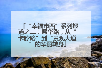 “幸福市西”系列报道之二：盛华路，从“卡脖路”到“景观大道”的华丽转身