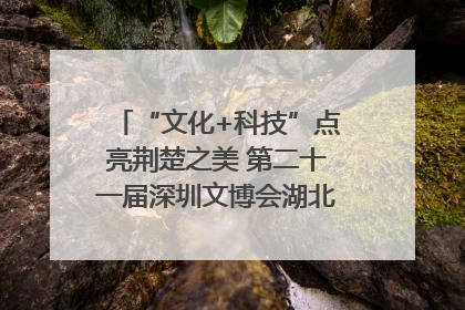 “文化+科技”点亮荆楚之美 第二十一届深圳文博会湖北馆抢“鲜”看