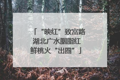 “映红”致富路 湖北广水胭脂红鲜桃火“出圈”