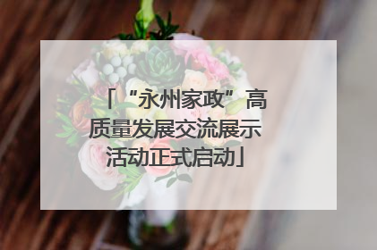 “永州家政”高质量发展交流展示活动正式启动
