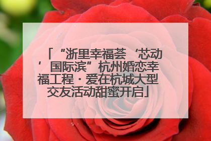 “浙里幸福荟‘芯动’国际滨”杭州婚恋幸福工程・爱在杭城大型交友活动甜蜜开启