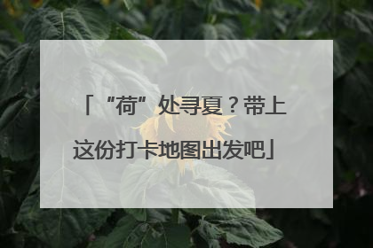 “荷”处寻夏？带上这份打卡地图出发吧