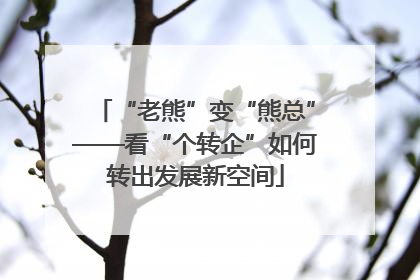 “老熊”变“熊总”——看“个转企”如何转出发展新空间