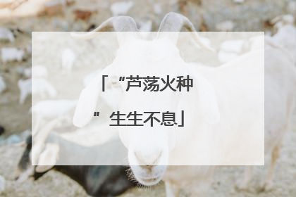 “芦荡火种”生生不息