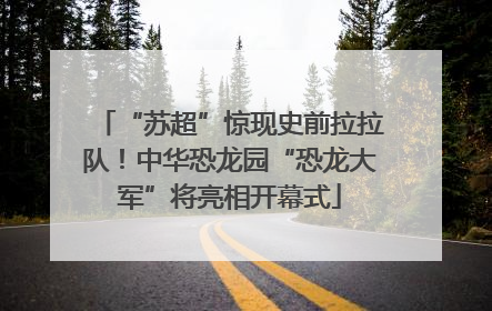 “苏超”惊现史前拉拉队！中华恐龙园“恐龙大军”将亮相开幕式