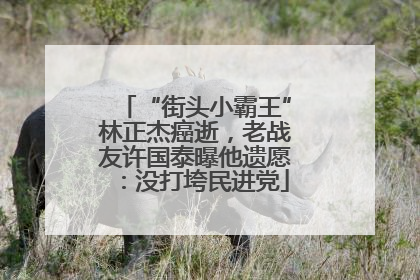 “街头小霸王”林正杰癌逝，老战友许国泰曝他遗愿：没打垮民进党