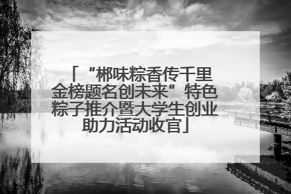 “郴味粽香传千里 金榜题名创未来”特色粽子推介暨大学生创业助力活动收官