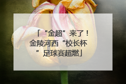 “金超”来了！金陵河西“校长杯”足球赛超燃