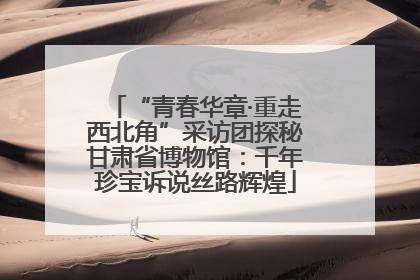 “青春华章·重走西北角”采访团探秘甘肃省博物馆：千年珍宝诉说丝路辉煌